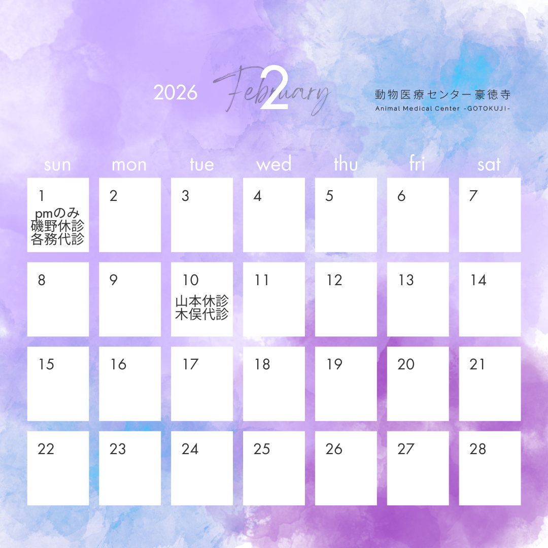 お知らせの写真